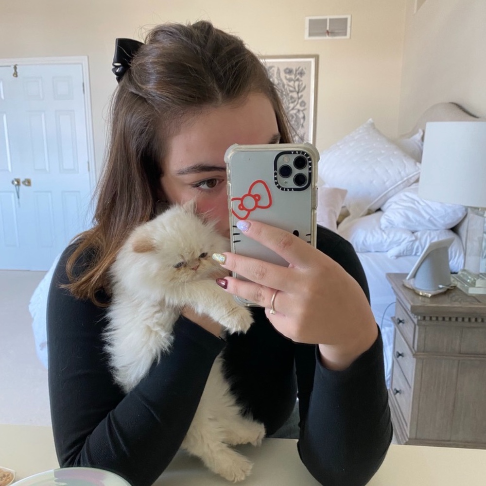 Meet your Posher, Stella